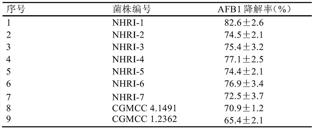 Application of rhodococcus erythropolis in degrading aflatoxin B1 in brewing seasoning or raw materials