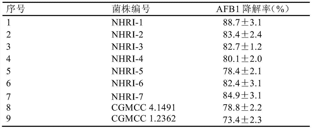 Application of rhodococcus erythropolis in degrading aflatoxin B1 in brewing seasoning or raw materials