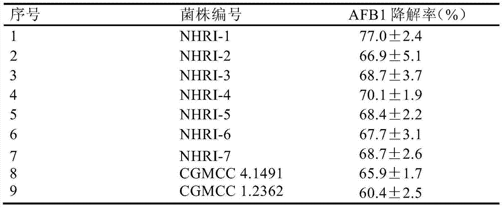 Application of rhodococcus erythropolis in degrading aflatoxin B1 in brewing seasoning or raw materials