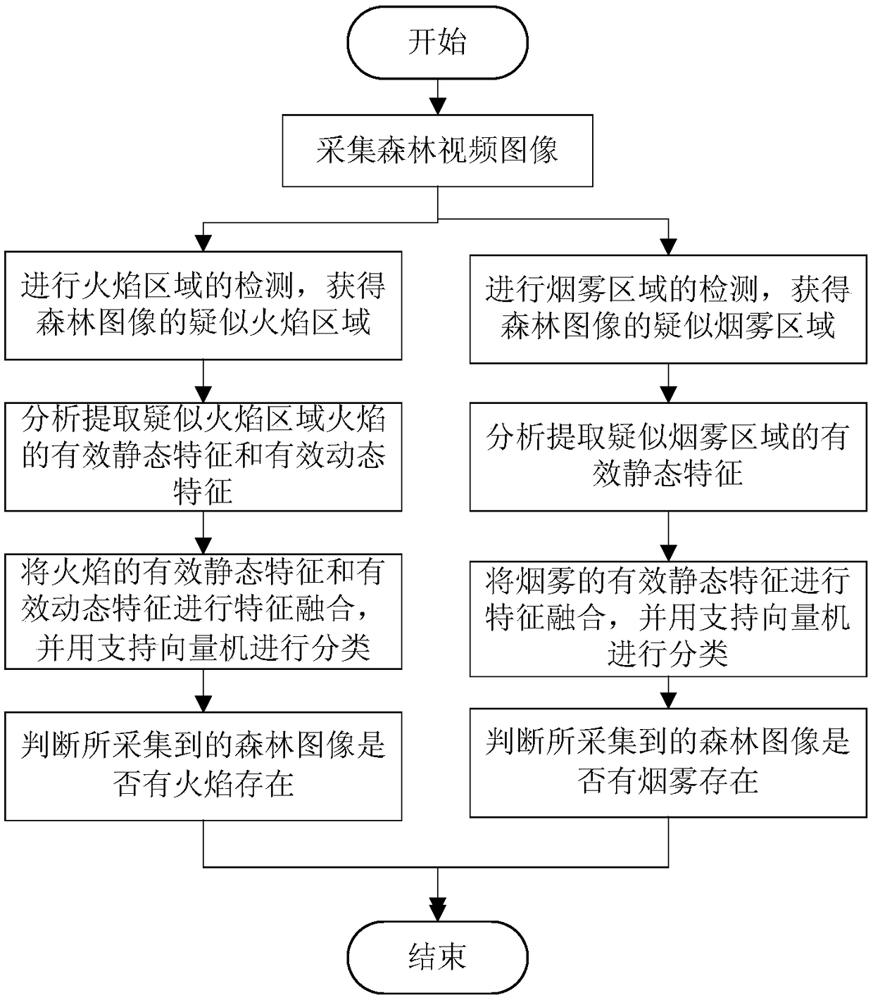 An early forest fire detection method based on a video image