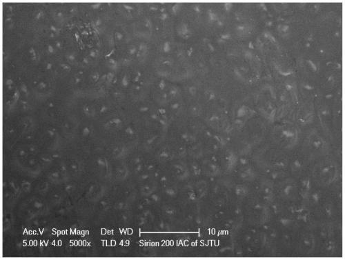 A kind of flexible ceramic/polymer composite solid electrolyte and preparation method thereof