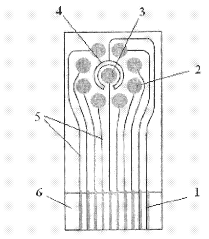 Array electrode-based biosensor used for rapidly detecting minimal pesticide residue on fruit and vegetable surfaces