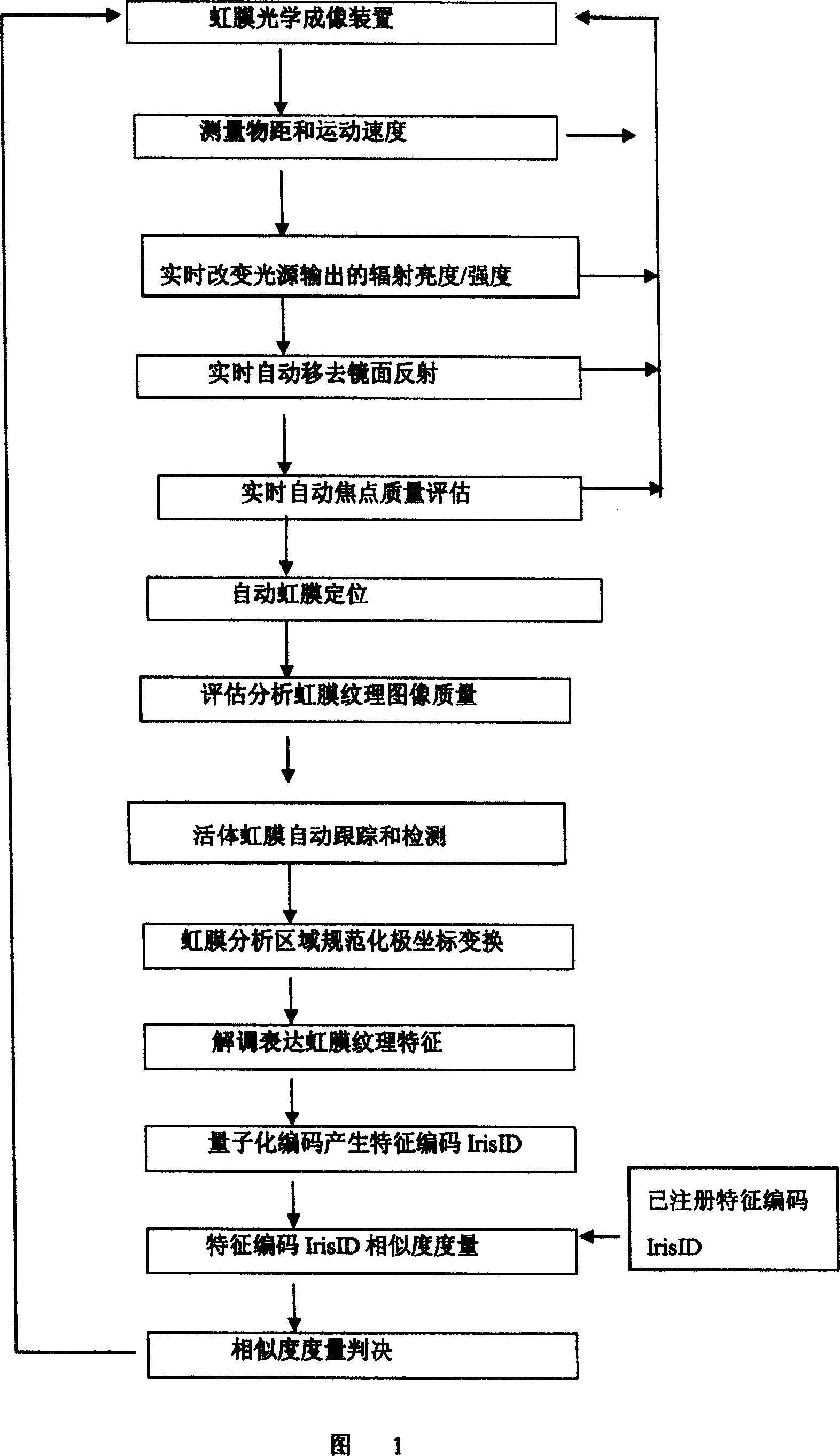 Bioassay system based on iris texture analysis