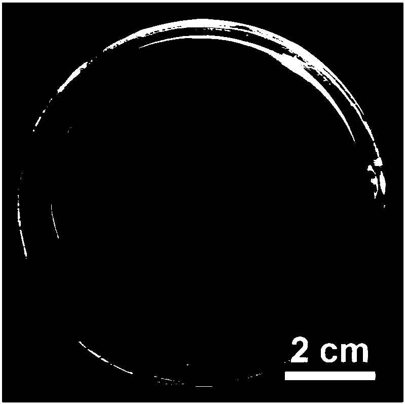 Ultrathin transparent nano/micron structure self-assembly film and green preparation method thereof