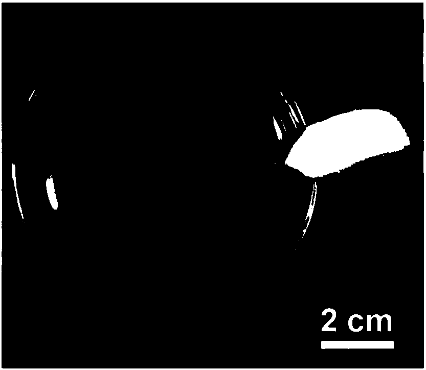 Ultrathin transparent nano/micron structure self-assembly film and green preparation method thereof