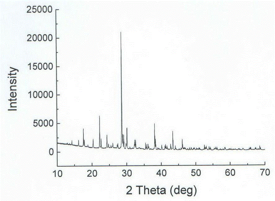 Photocatalytic Oxidative Degradation of Chlorophenol Pollutants by Sodium Vanadium Borate