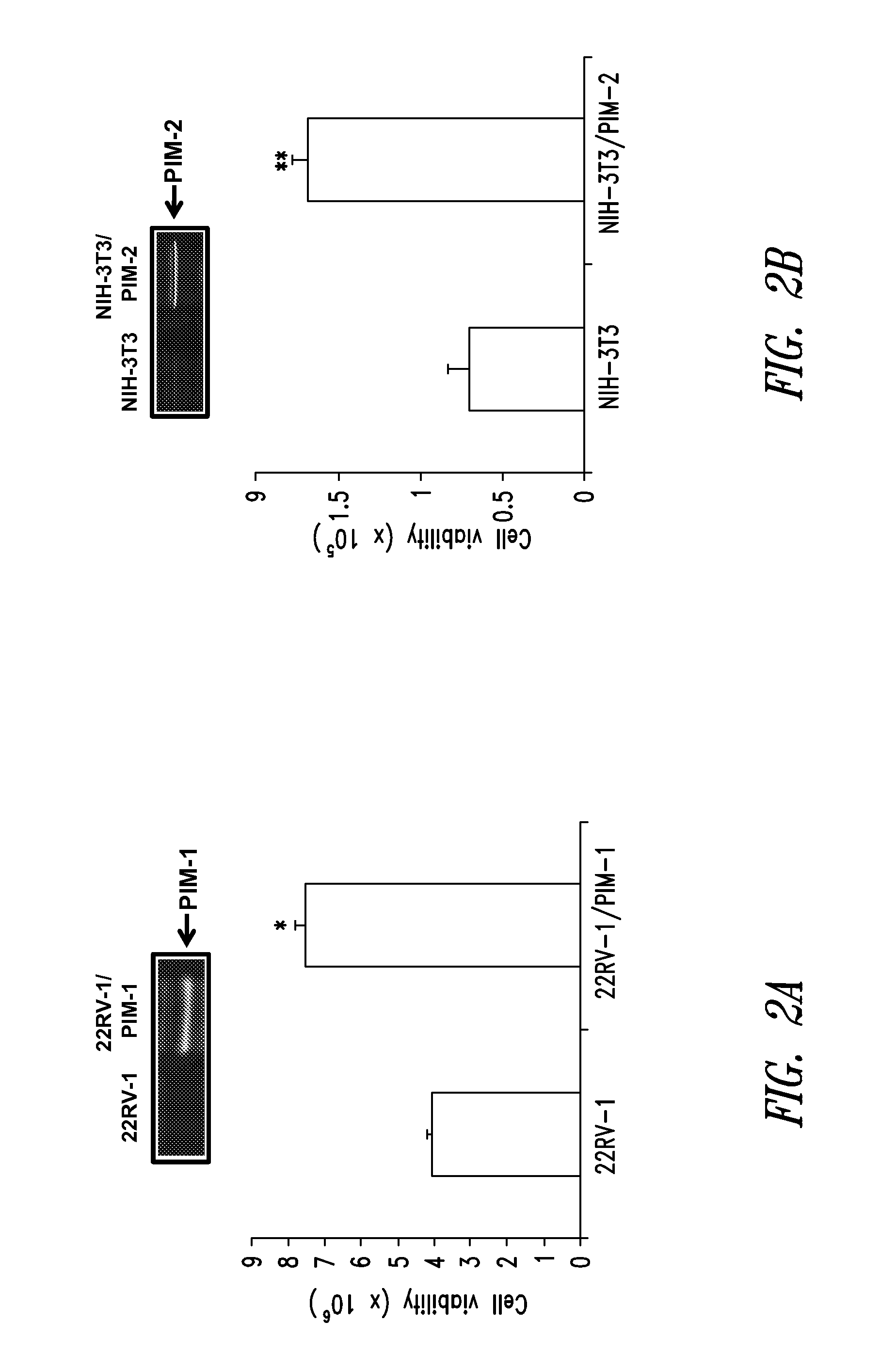 Substituted imidazo[1,2-b]pyridazines as protein kinase inhibitors