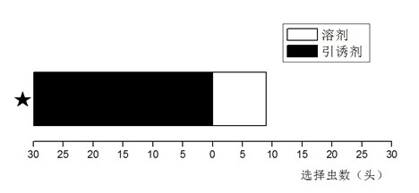 Attractant for Anagrus nilaparvatae which are natural enemies of rice planthoppers