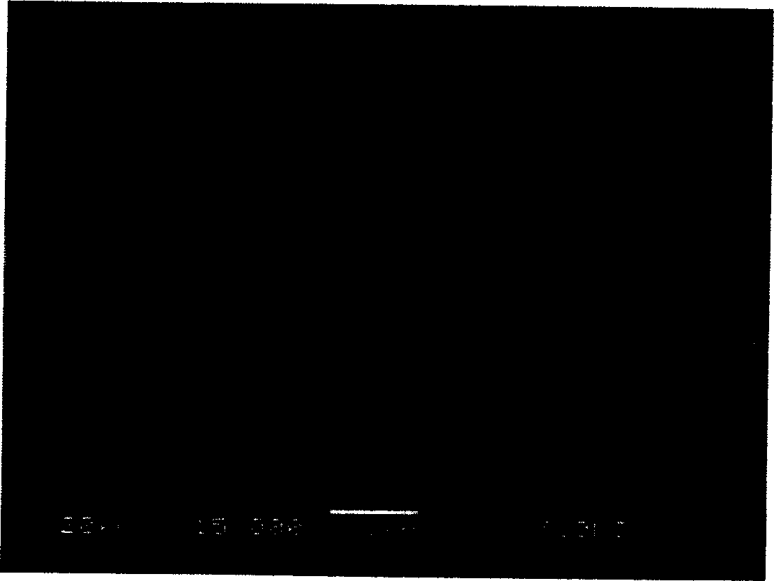 Prepn process of submicron level positive pole material for lithium ion cell