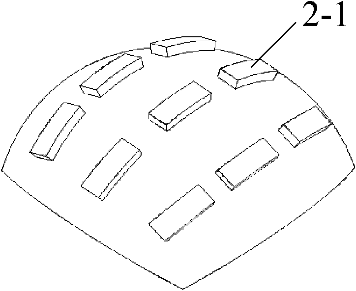 Automatic ultrasonic detection system of non-contact solid geologic model