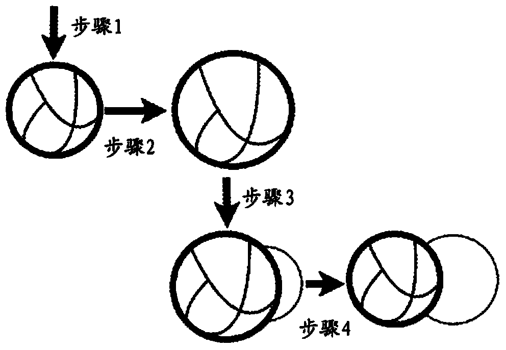 Use of synthetic janus particles for preventing or reducing crystal growth