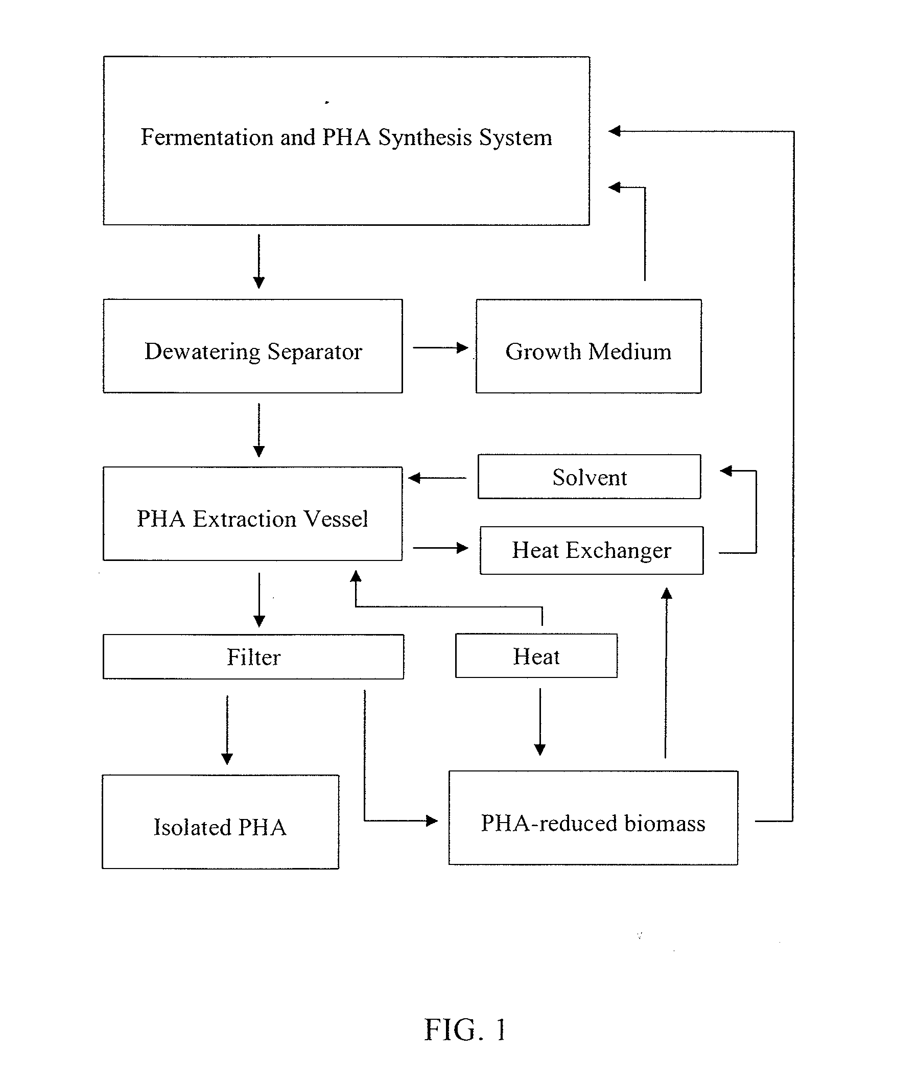 Process for the production of polyhydroxyalkanoates