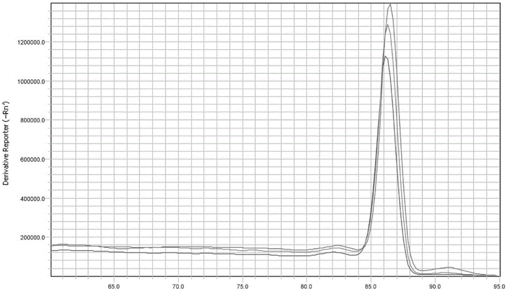 Fluorescent quantitative PCR method for detecting fish parvalbumin and primer pair