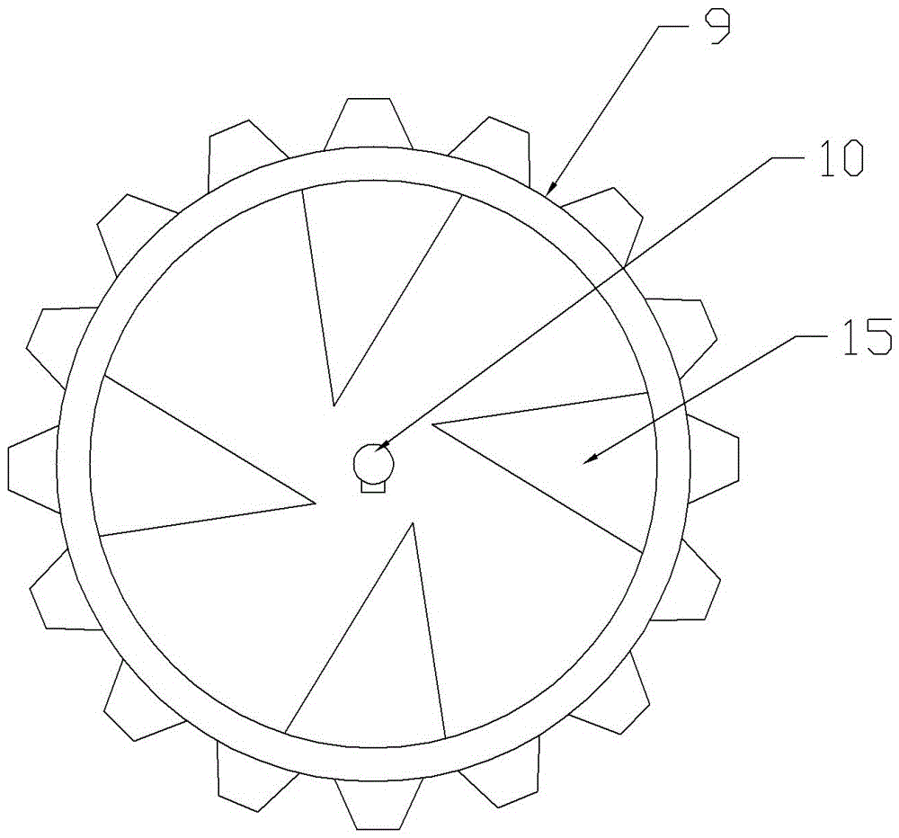 Oil expression device