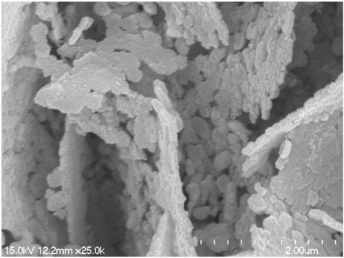 Foam nickel composite material and preparation method thereof, and application of foam nickel to photoelectrocatalytic removal of pollutants in water body