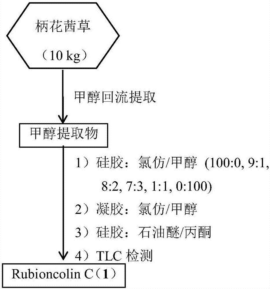 Naphthoquinone dimer and preparation method and applications thereof