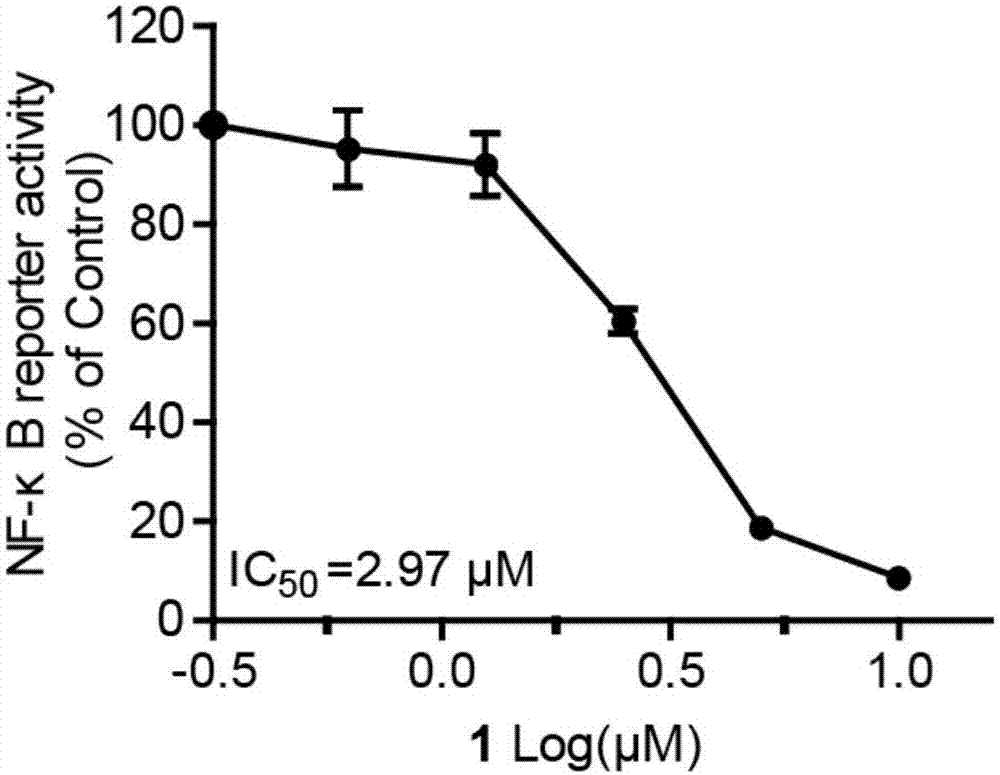 Naphthoquinone dimer and preparation method and applications thereof