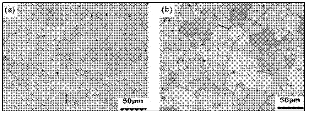 Process for preparing large-specification tungsten plate billet by means of resistance sintering