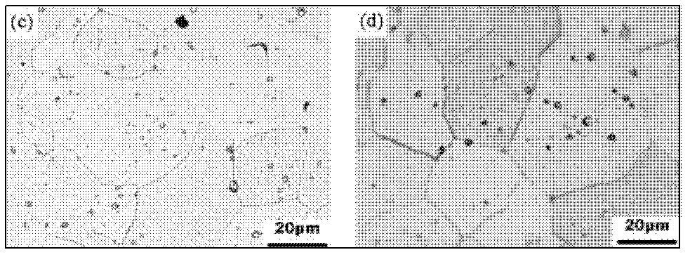 Process for preparing large-specification tungsten plate billet by means of resistance sintering