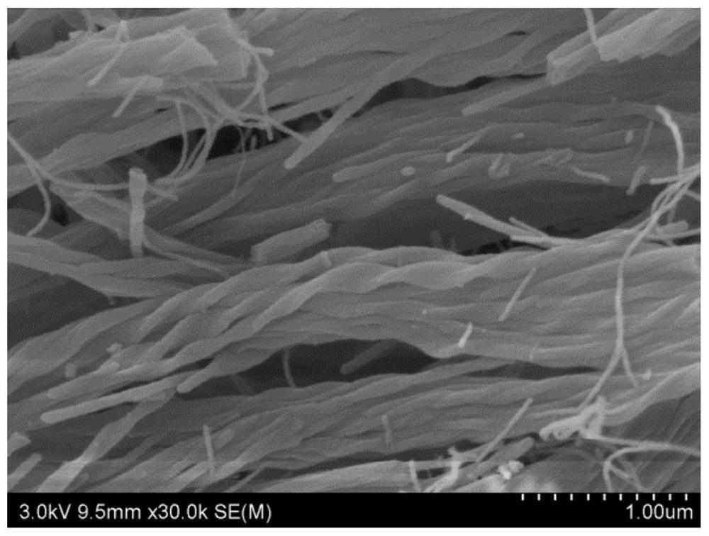 Tetraphenylvinyl bridged polysilsesquioxane and its preparation method and application