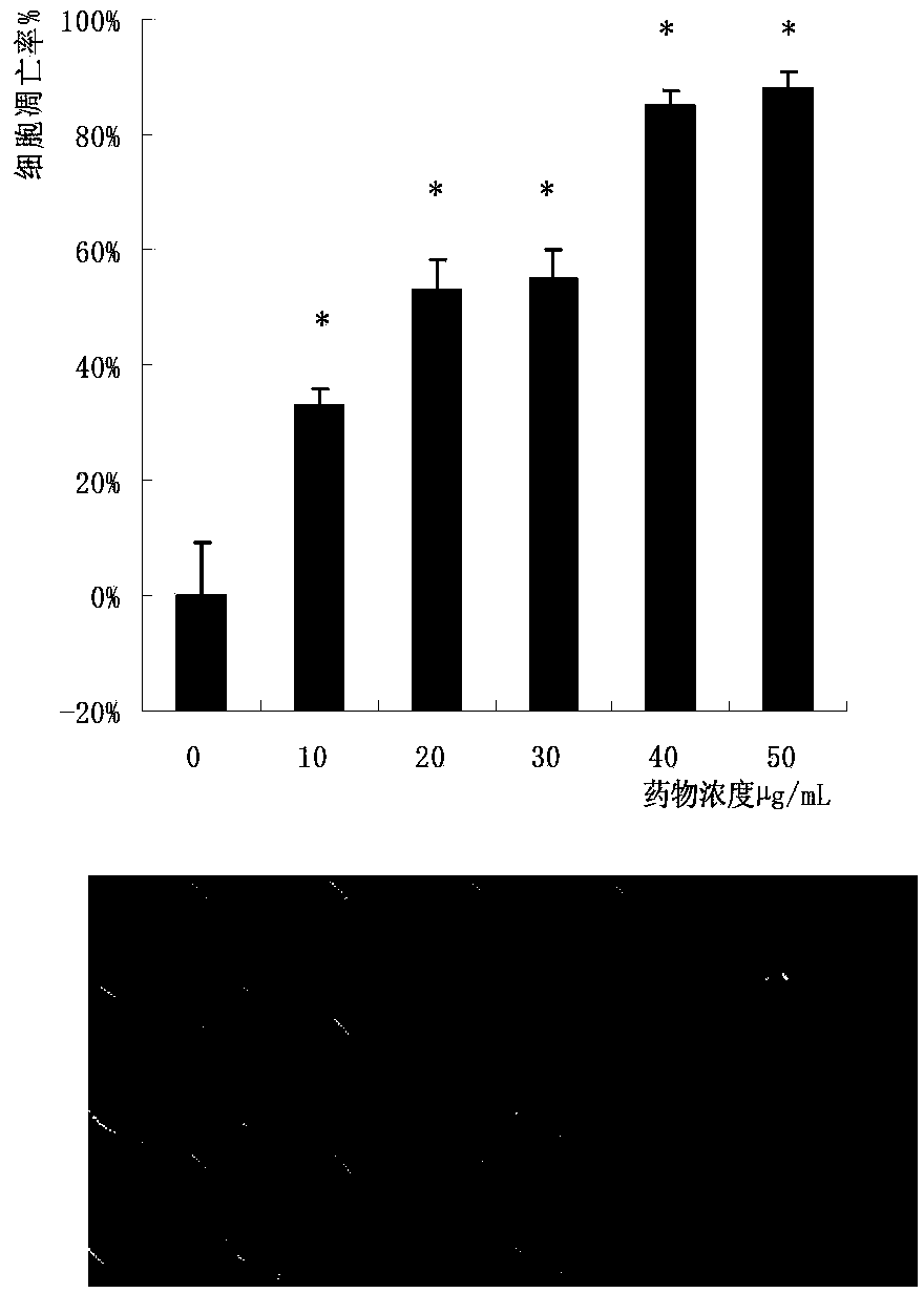 Pholiota adiposa protein extract and anti-tumor application thereof