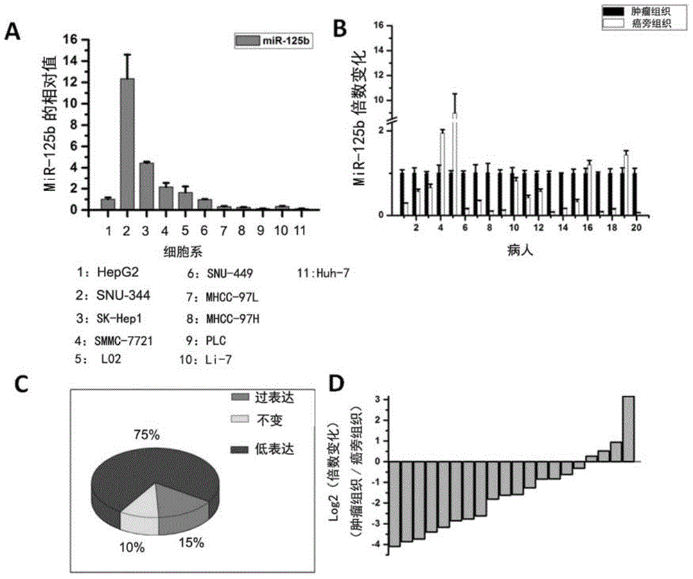 Application of miR-125b in antineoplastics