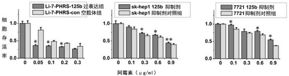 Application of miR-125b in antineoplastics