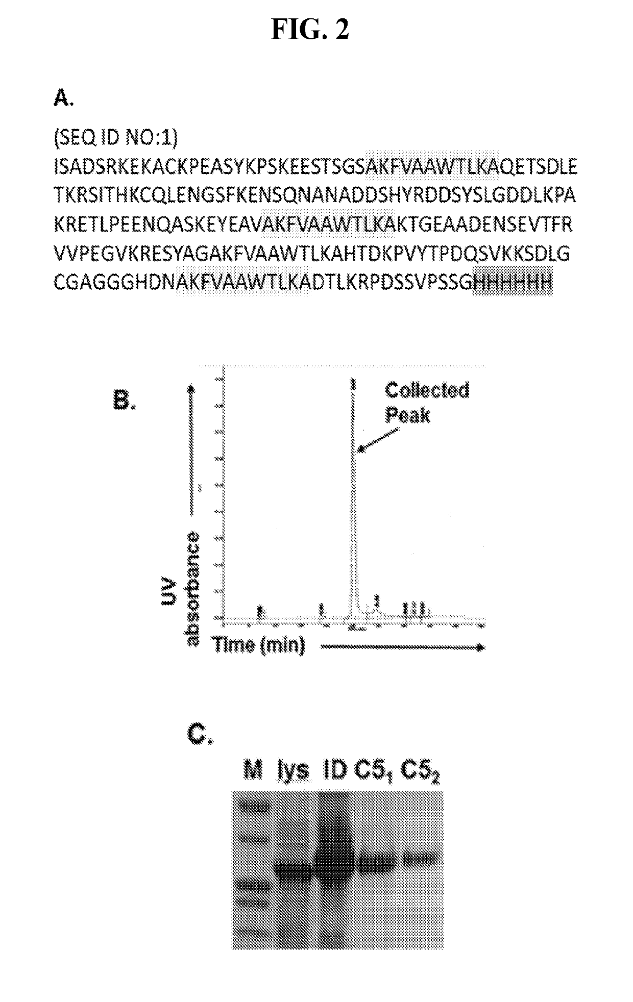 C5 immunization for autologous Anti-c5 antibody production