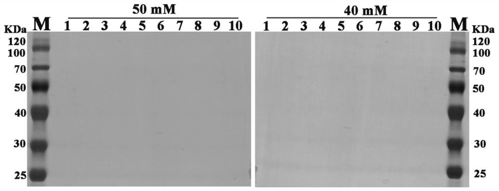 A codon-optimized glucose oxidase gene and its application