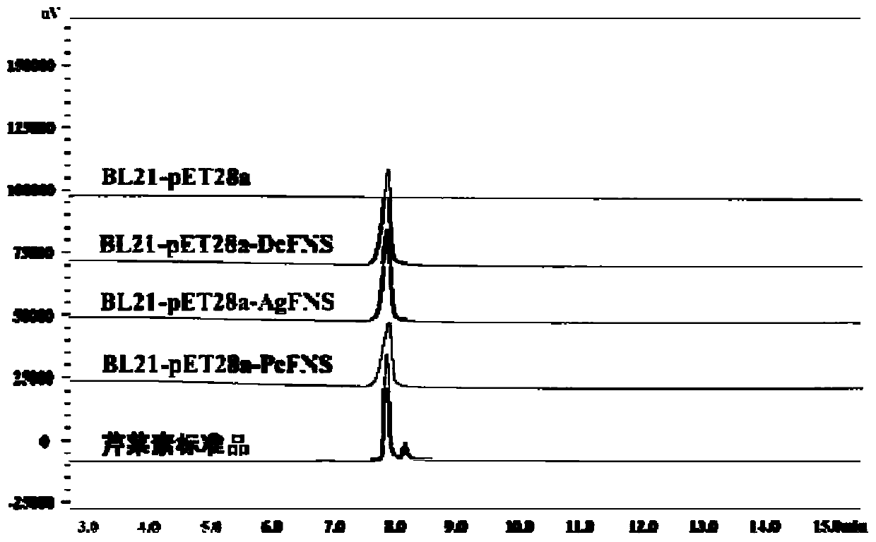 Flavone synthase and application thereof