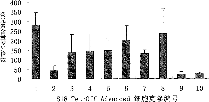 Tet-Off Advanced human stably expressing high-transition nasopharyngeal carcinoma cell line S18, construction method thereof and application thereof