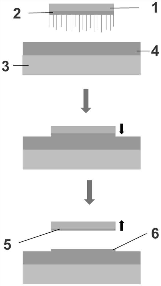 A kind of gallium oxide nano material transfer method