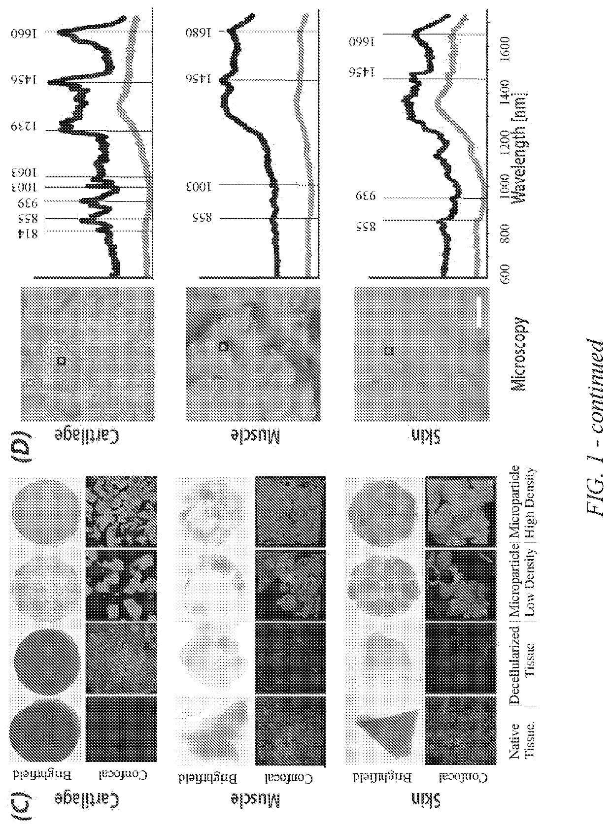 Methods and compositions for particulated and reconstituted tissues