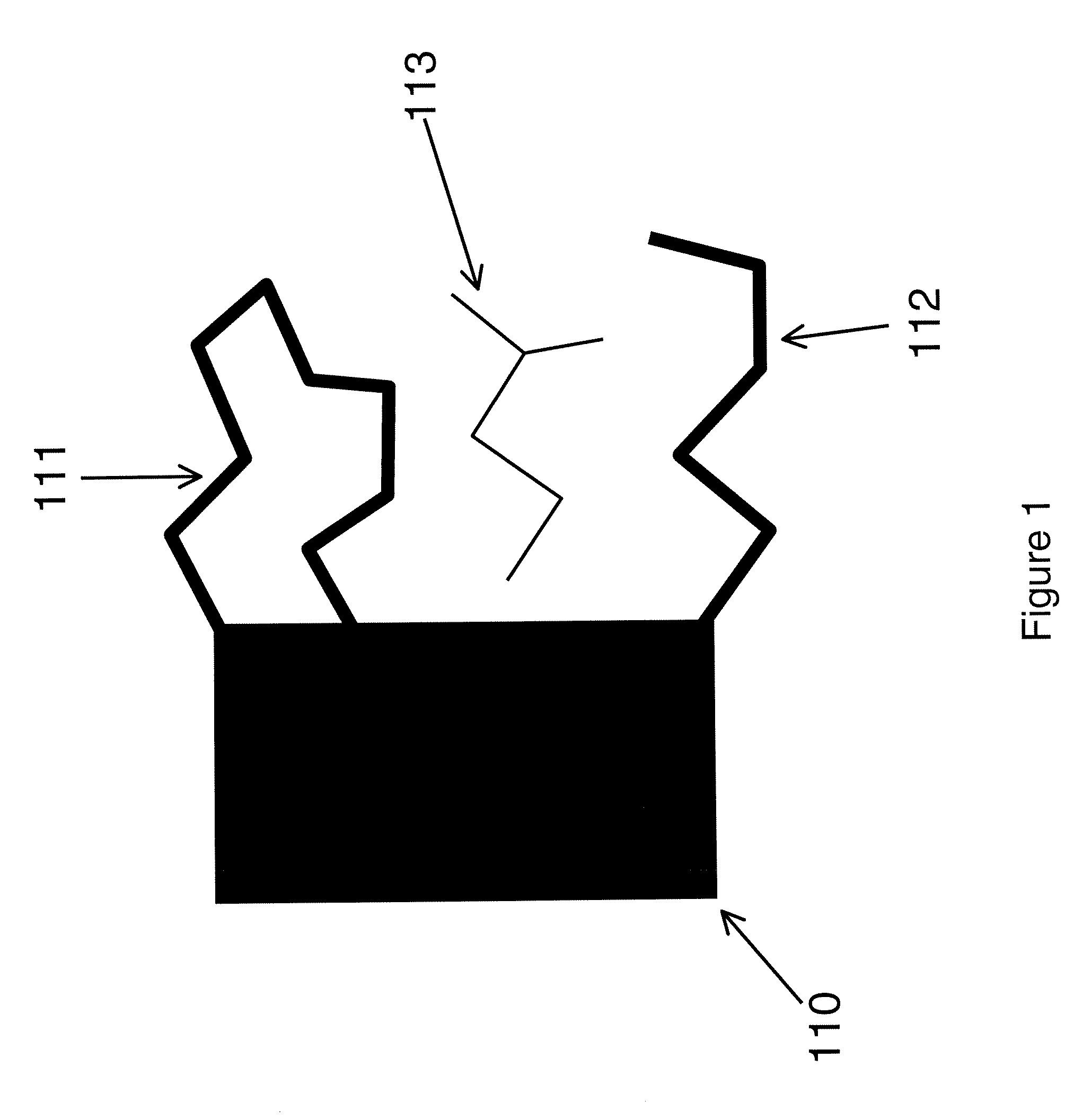 Computational Method For Drug Discovery And Receptor Design