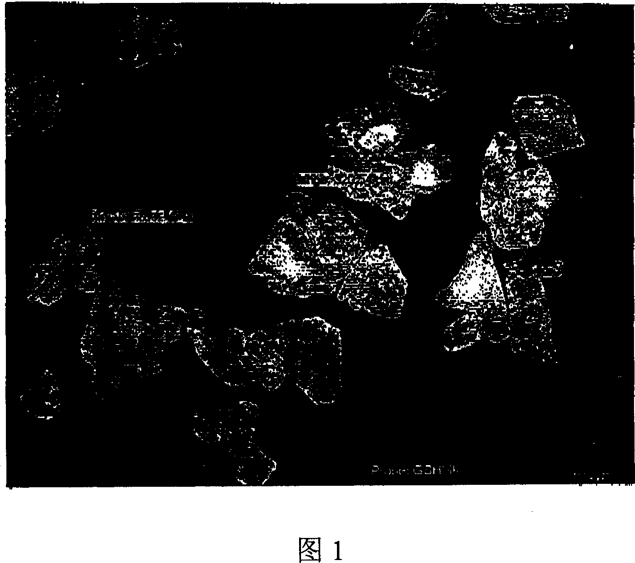 Process for the manufacture of particles containing antibotics and their application