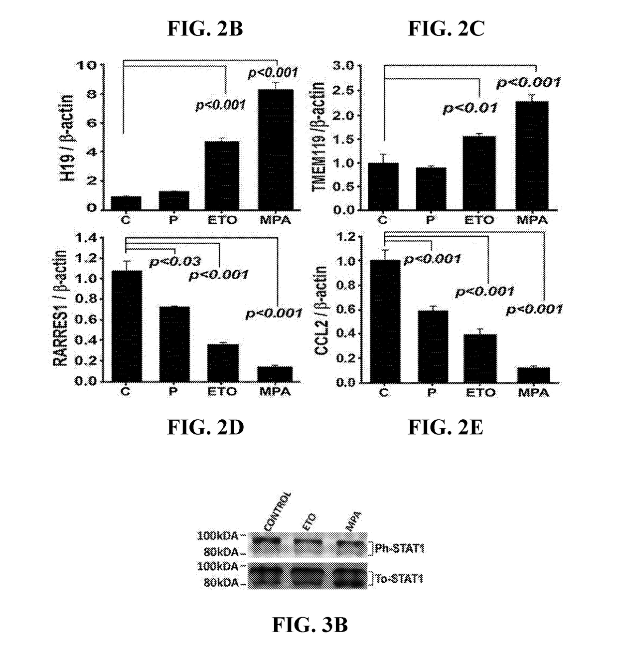 Use of ccl2 to inhibit abnormal uterine bleeding