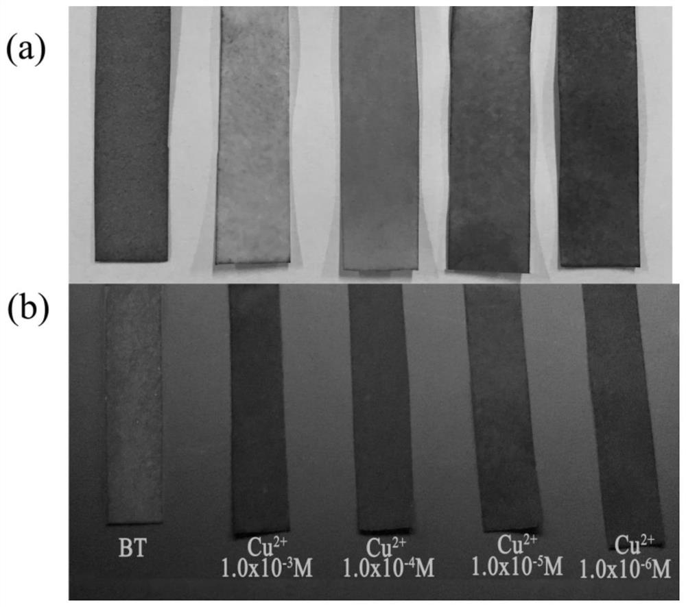 A kind of dual-channel copper ion detection test paper and preparation method thereof