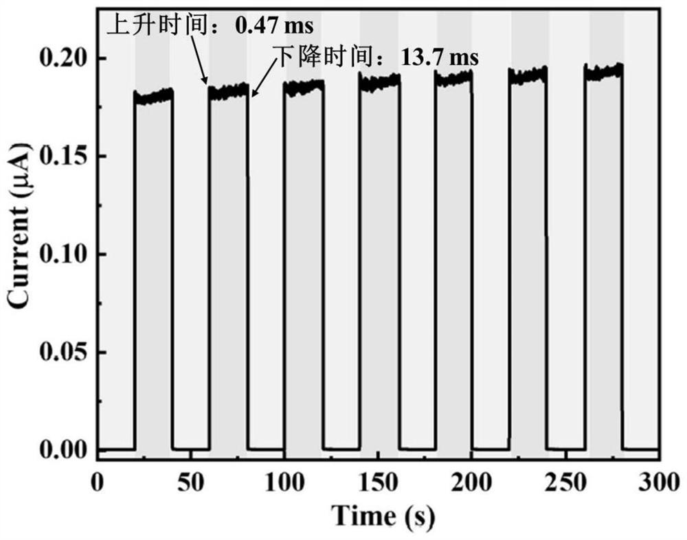 Bi (Fe, Zn) O3/NiO all-oxide thin film heterojunction used for high-speed photoelectric detection