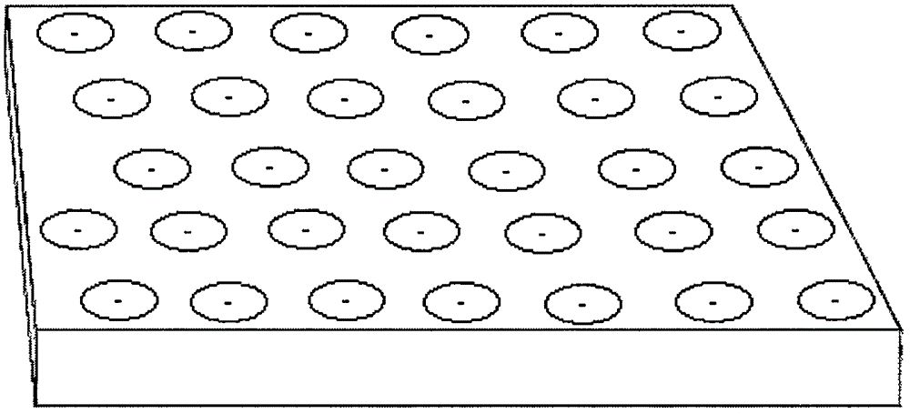 Method for preparing needle point of atomic force microscope