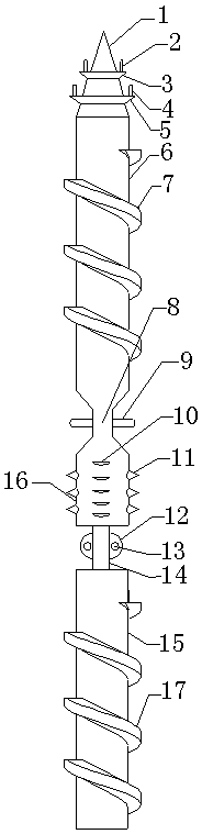 Multi-screw-edge structure screw rod