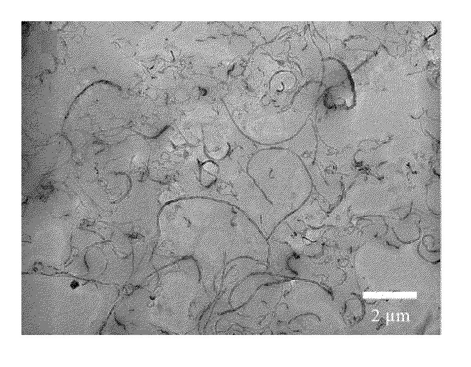 Dispersion of carbon nanotubes and nanoplatelets in polyolefins