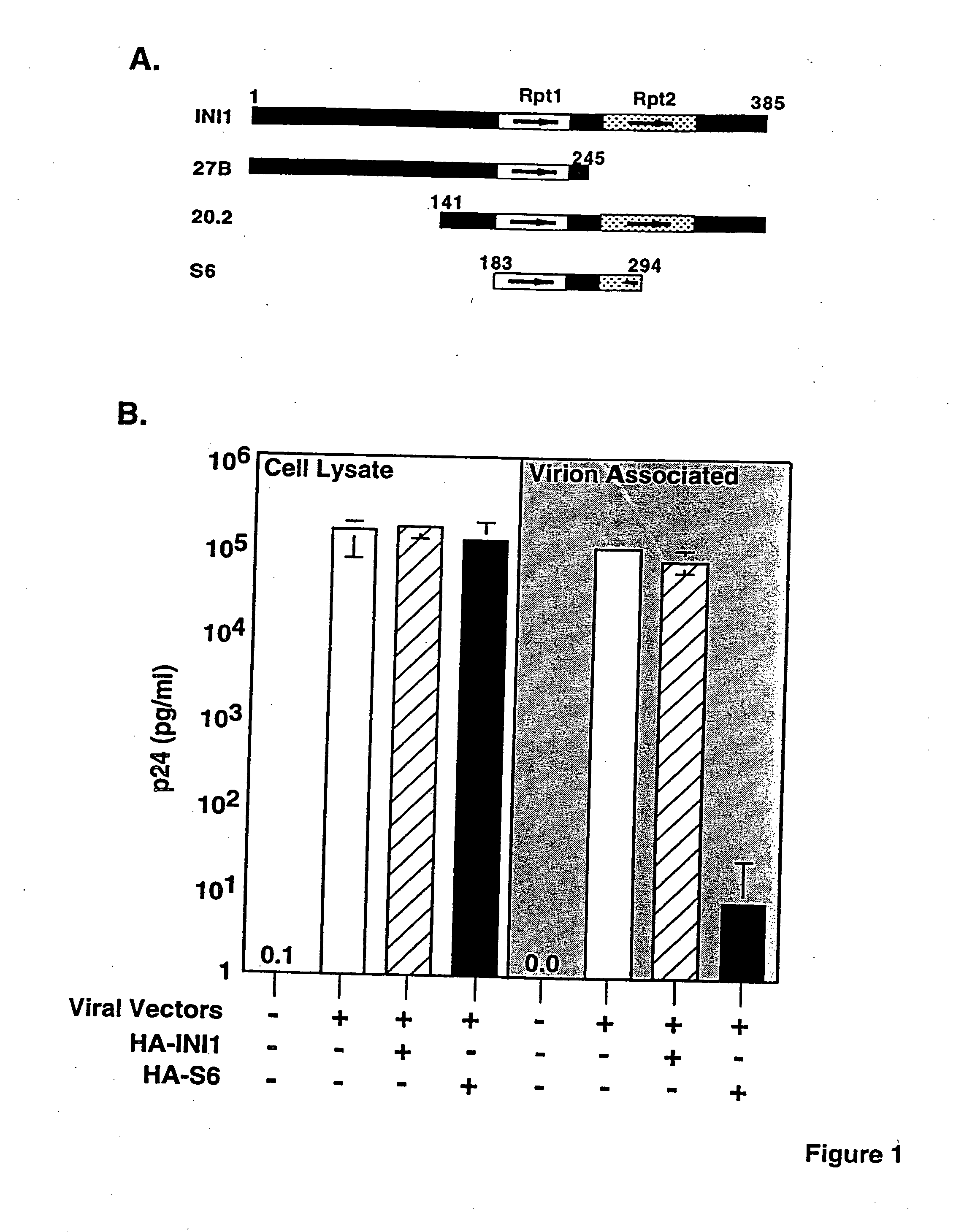 Inhibition of HIV-1 virion production by a transdominant mutant of integrase interactor 1 (INI1)/hSNF5