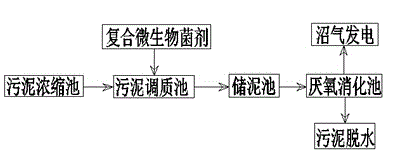 Pretreatment method of strengthening anaerobic digestion of sludge with compound microbial agent