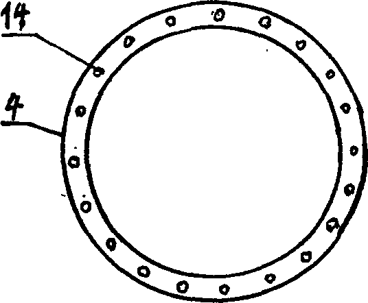 Process for preparing granular patassium formate and its pelletizing equipment