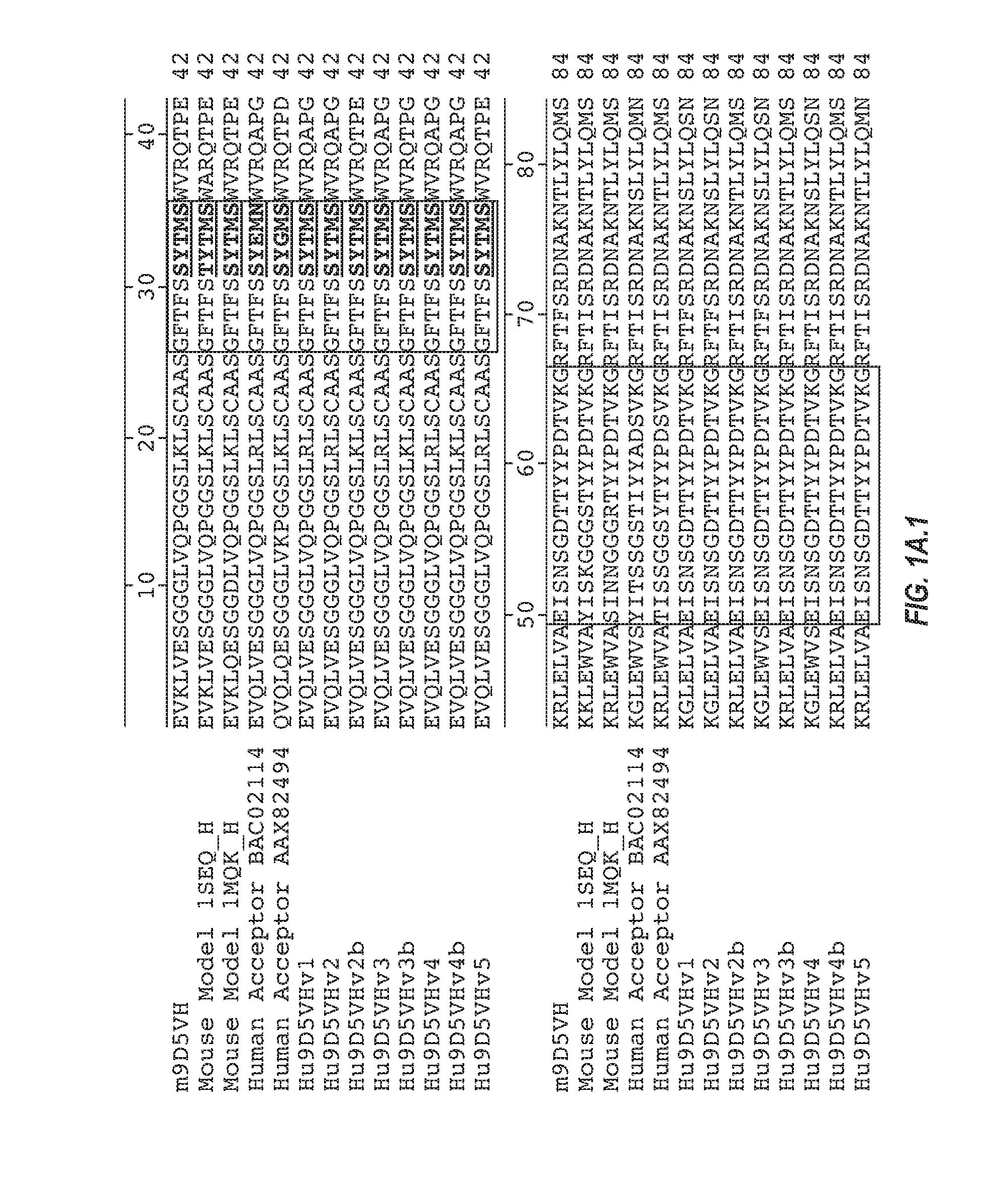 Anti-transthyretin antibodies