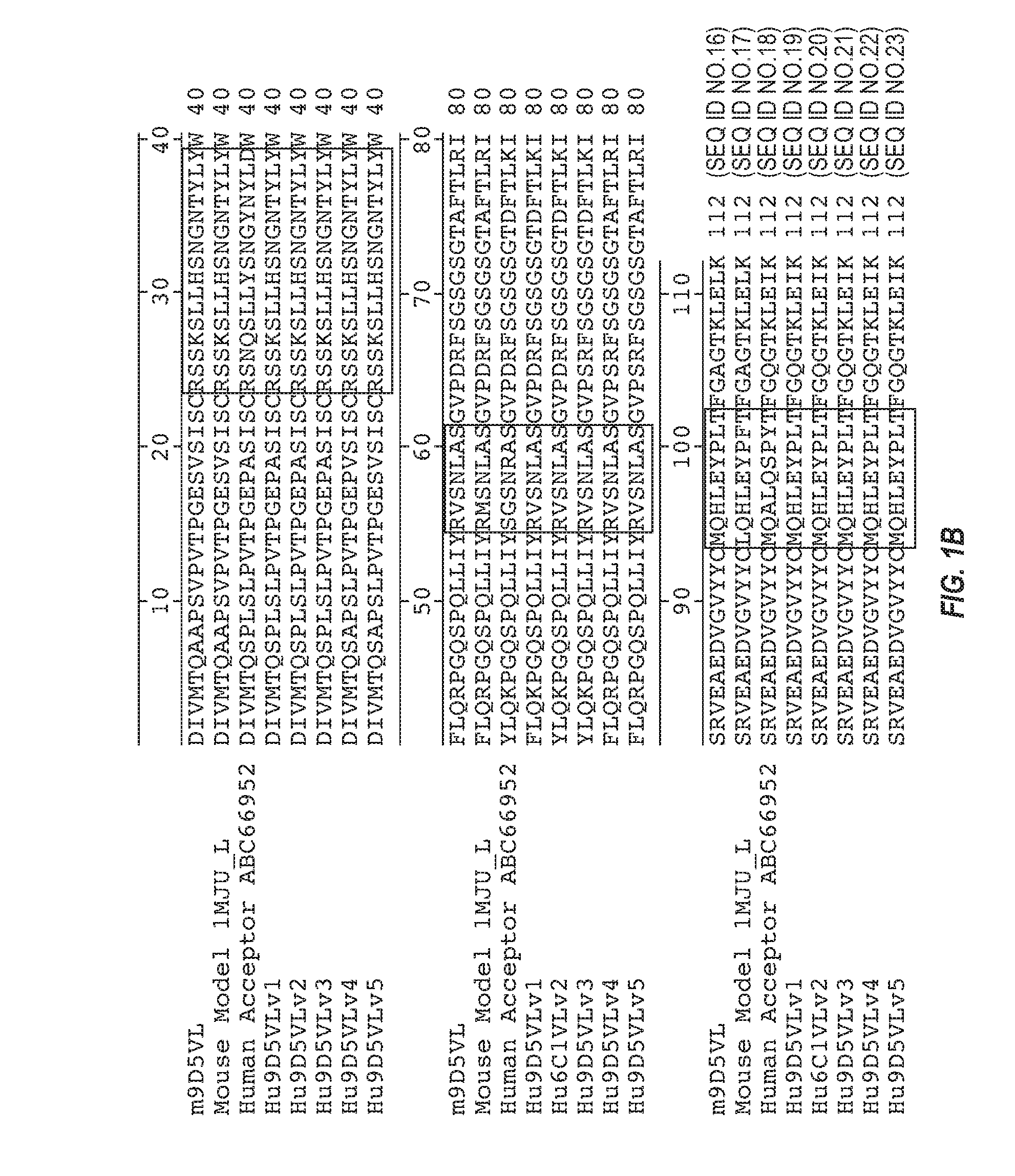 Anti-transthyretin antibodies