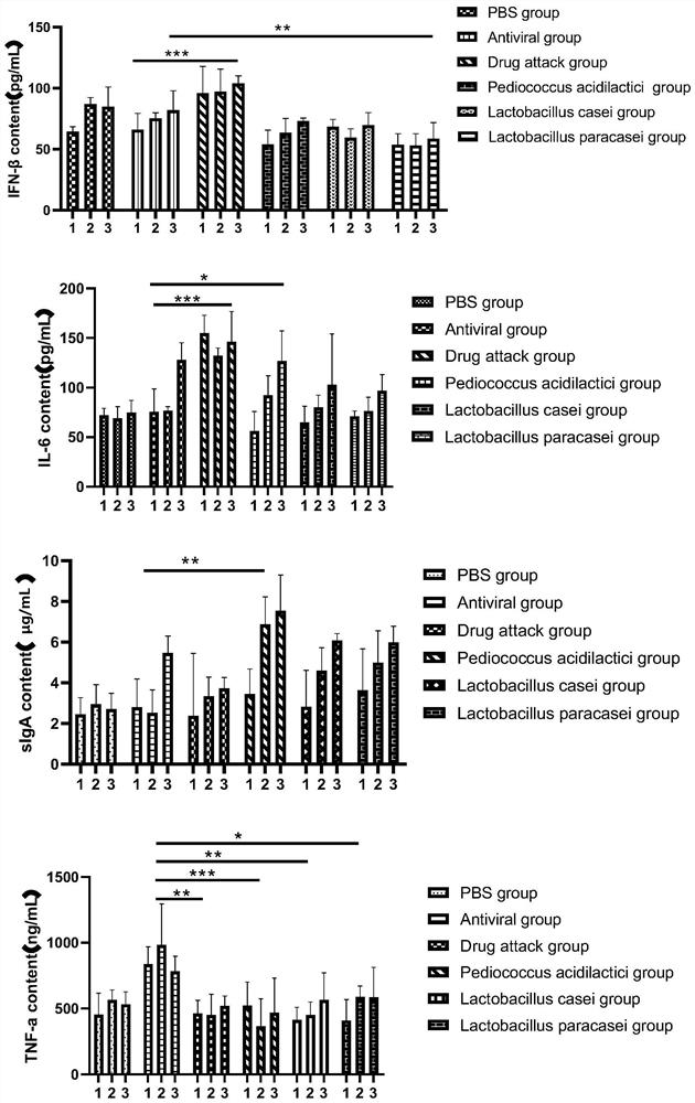 Pediococcus acidilactici separated from Tibetan kefir and application of pediococcus acidilactici in prevention and treatment of rotavirus infection