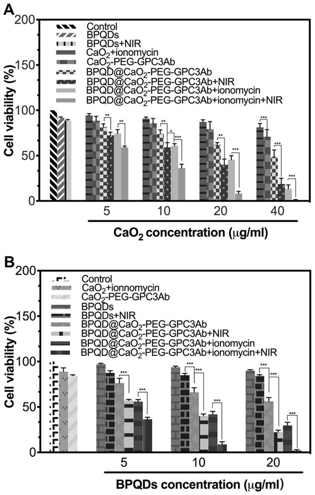 Photodynamic combined calcium overload nano-carrier and preparation method and application thereof