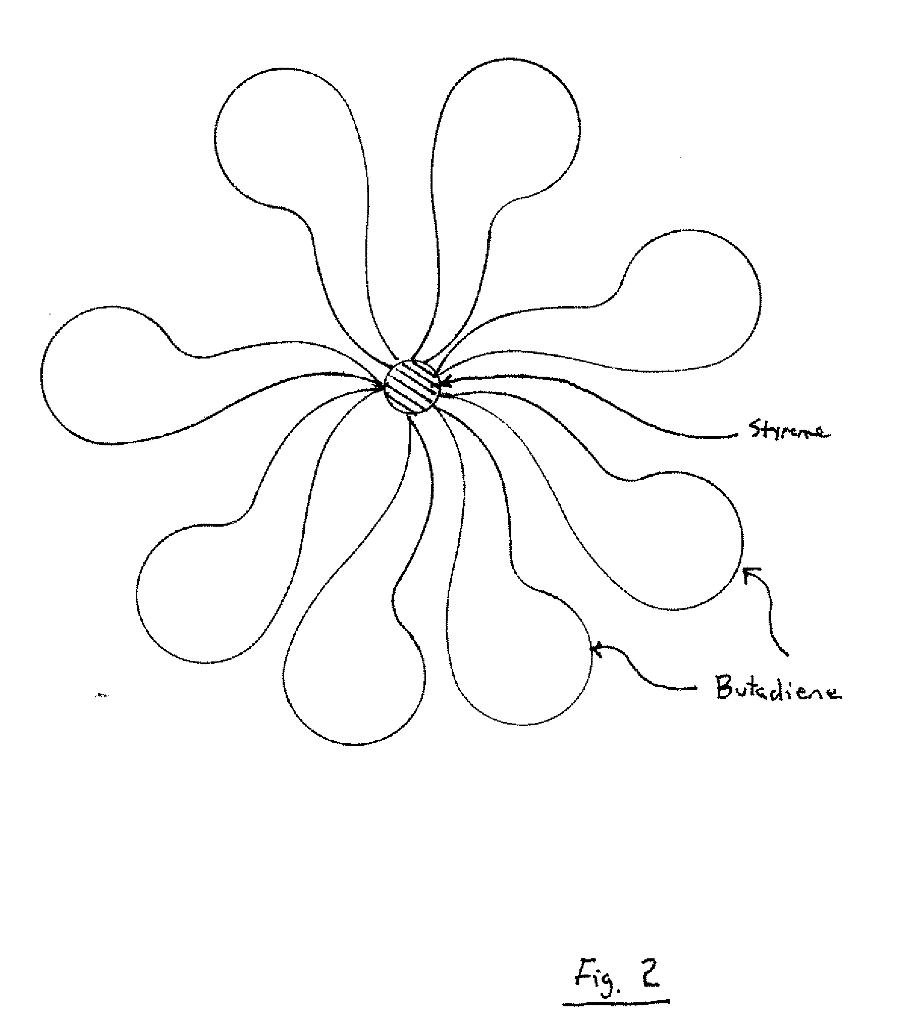 Polymeric Nano-Particles Of Flower-Like Structure And Applications