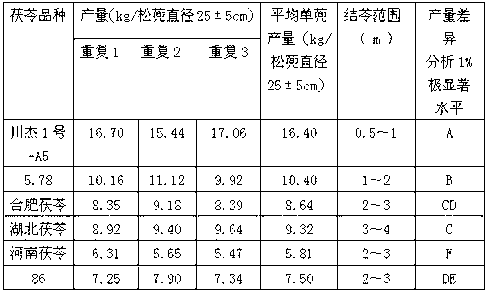 Low-carbon and high-yield poria culture method